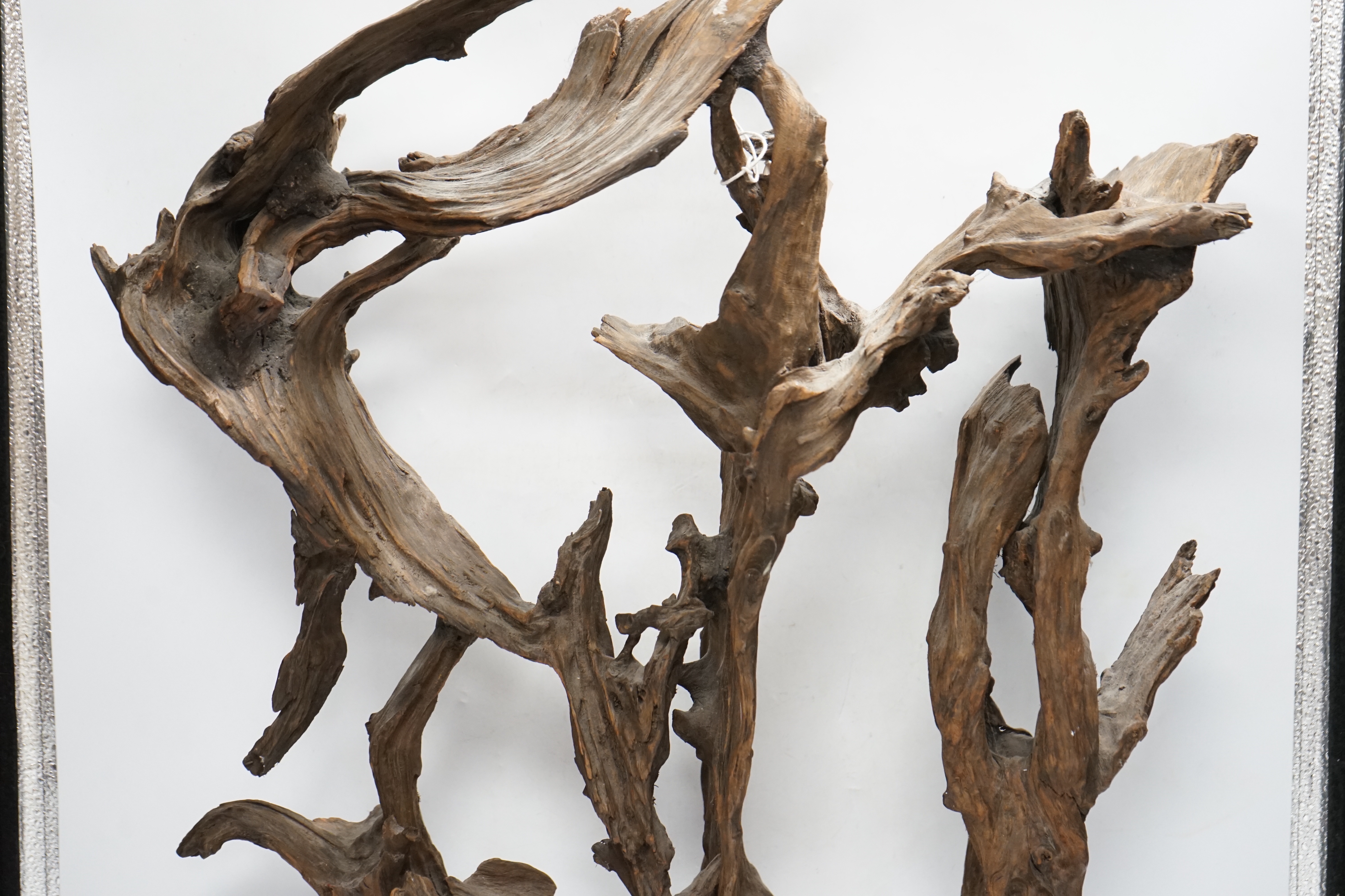 A naturalistic wood sculpture on stand, 66cm high